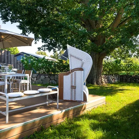 Traumhaus Auri In Ostsee Auf Dem Darss Mit Kamin Und Sauna Und Garten